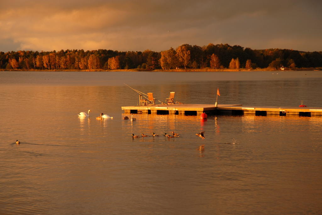 Vila Baldininkas Neringa Buitenkant foto